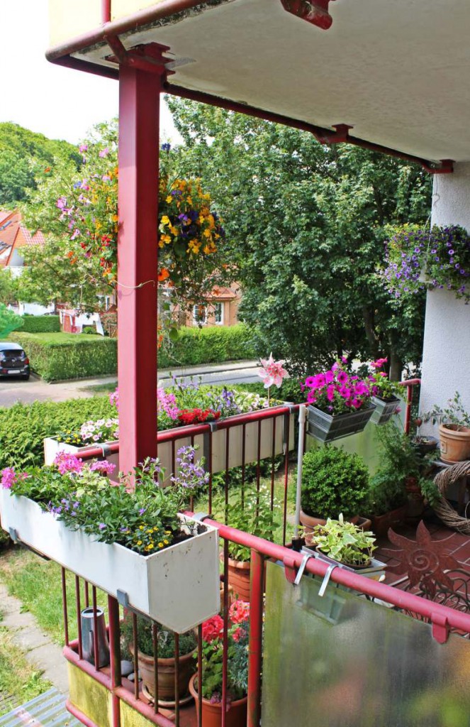 Balkon Frühsommer