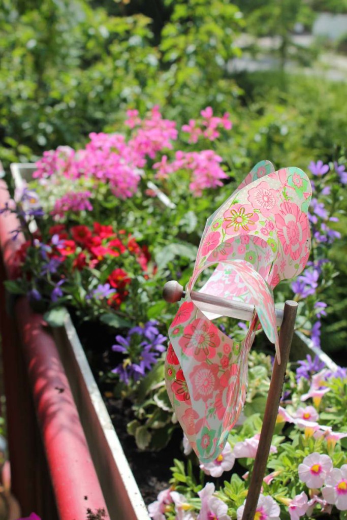 Blumenkasten Sommer Windmühle
