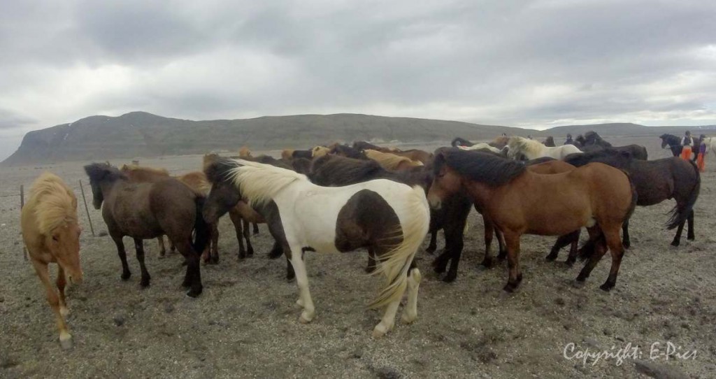 DCIM108GOPRO